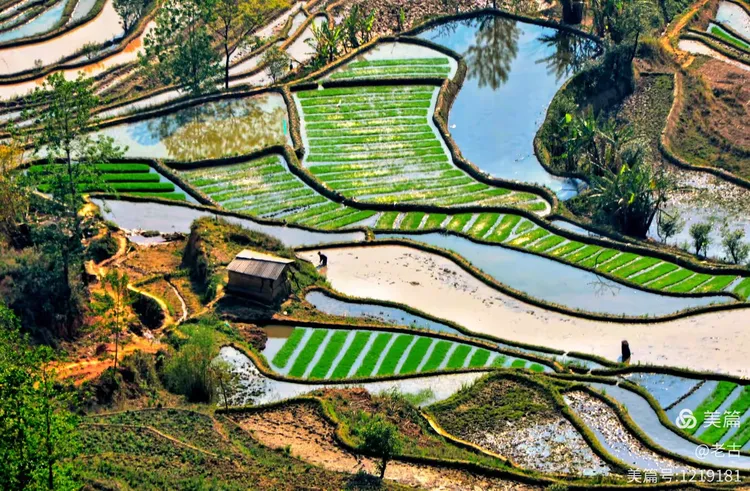 哈尼梯田（滇东春游五）